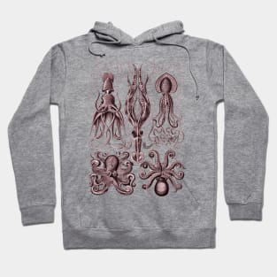 Ernst Haeckel Gamochonia Octopus Red Hoodie